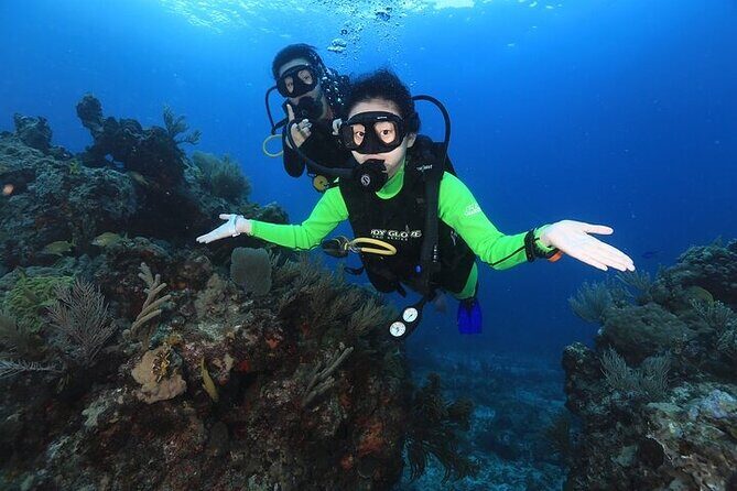 Two Dives and Class for Begginers Divers in Cancun - FAQ