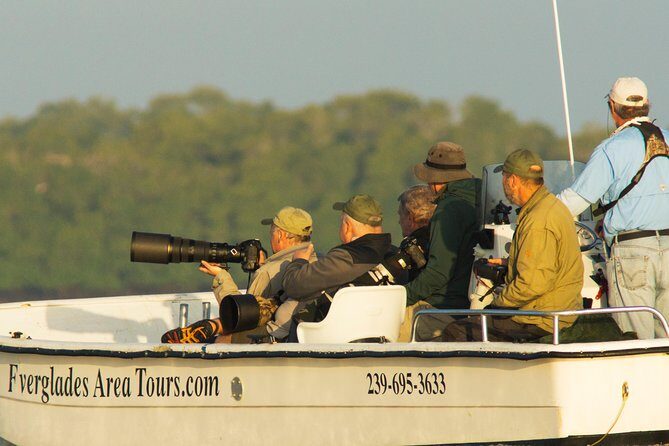 Two-Hour Everglades Dolphin, Manatee and Birding Boat Tour - Key Points