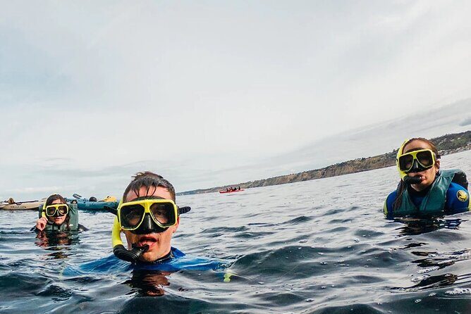 Two Hour Kayak and Snorkel Tour for Two in La Jolla - Real Travelers’ Insights