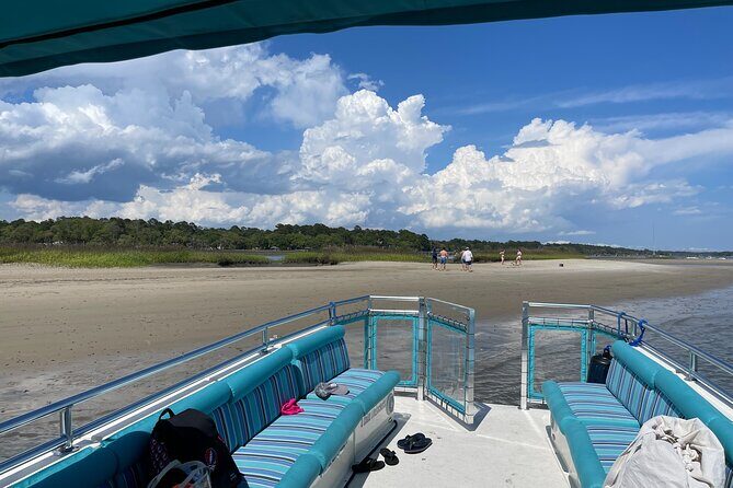 Two Hour Large Group Dolphin Tour - The Price and Value