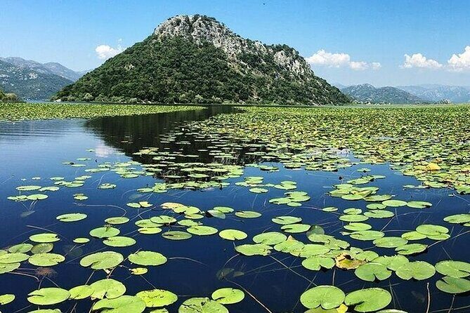 Two Hours Sightseeing Lake Cruise at Montenegro National Park - Setting Sail on Skadar Lake: What to Expect