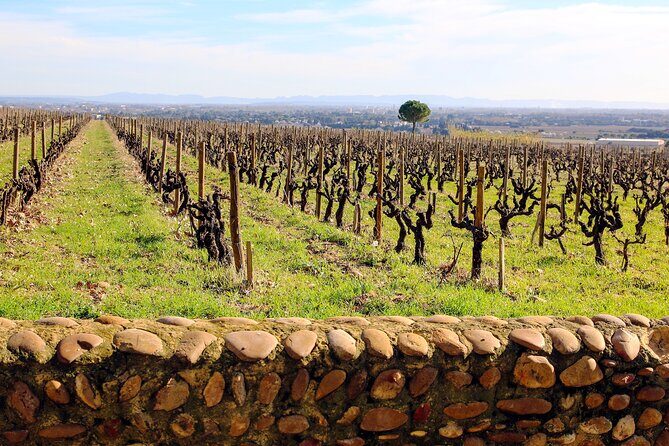 Two intensive days discover exceptional wines of the Rhône valley - Transportation & Logistics