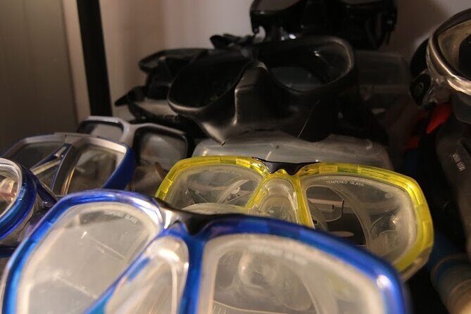 Two Morning Dives in Gozo for Certified Diver - What to Expect from This Gozo Dive Tour