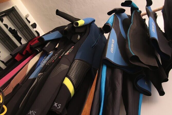 Two Morning Dives in Gozo for Certified Diver - The Sum Up