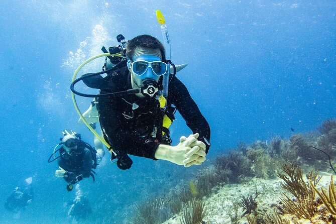Two reef discovery dives with professional instructor (no experience necessary) - Who Should Consider This Experience?