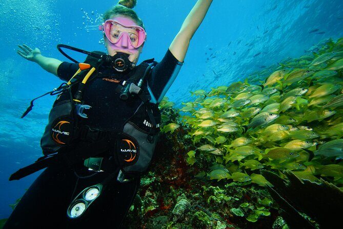 Two Reefs For Certified Divers in Cancun - Two Reefs For Certified Divers in Cancun: An Honest Deep Dive