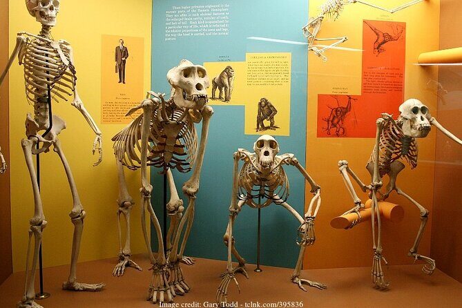 Two Smithsonian Museums Private Tour: American & Natural History - What to Expect from the Tour