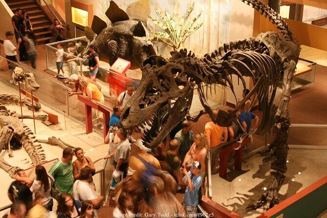 Two Smithsonian Museums Private Tour: American & Natural History - Who Should Consider This Tour?