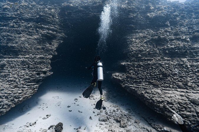 Two Tank Wreck and Drift Dive in Oahu - The Price and Its Value