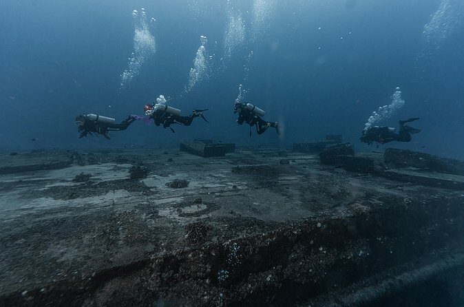 Two Tank Wreck and Drift Dive in Oahu - Who Would This Tour Suit Best?