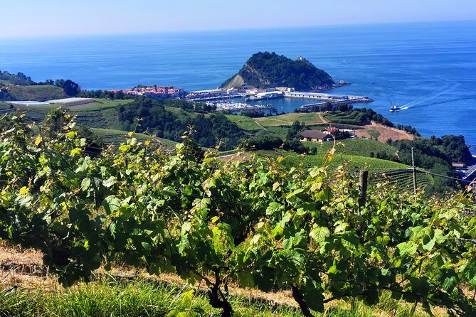 TXAKOLI vineyards HIKE, ZUMAIA and GETARIA - Private Outdoor & Gastronomic Tour - Exploring the Basque Coast: A Deep Dive into the TXAKOLI Vineyards Hike, Zumaia, and Getaria Tour