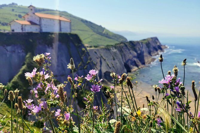TXAKOLI vineyards HIKE, ZUMAIA and GETARIA - Private Outdoor & Gastronomic Tour - Is This Tour Right for You?