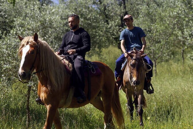 Typical Dining & Cooking Demo at Local's Home in Florence - Who Will Enjoy This Tour?