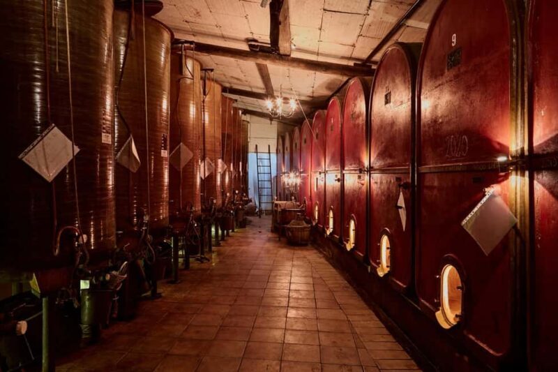 Typical experience in Monferrato: winery tour, tasting, and lunch - Who Should Consider This Tour?