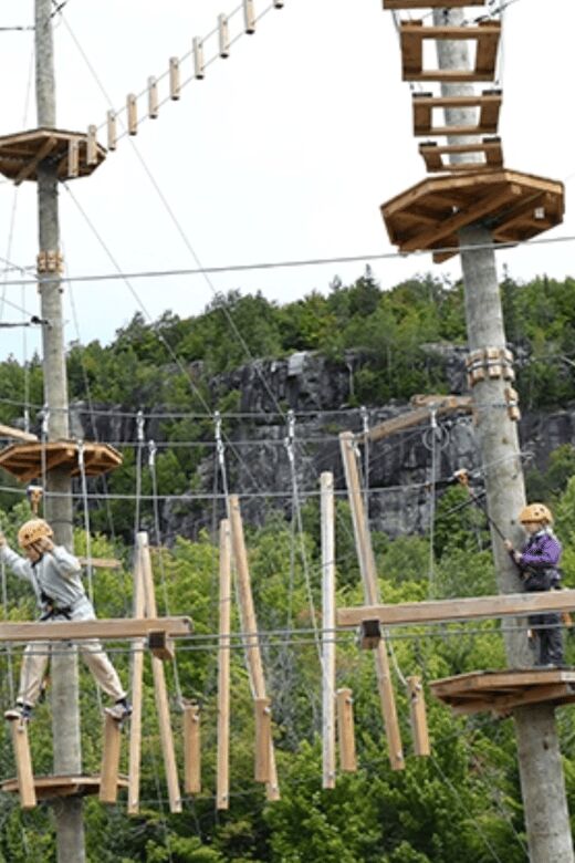 Tyroparc: La Cité des Bois Obstacle Course in Laurentians - The Different Circuits and Their Appeal