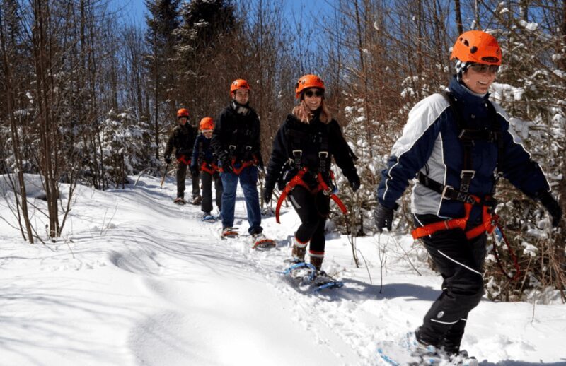 Tyroparc: Via Ferrata and Hiking in the Laurentians - Who Is This Tour Best For?