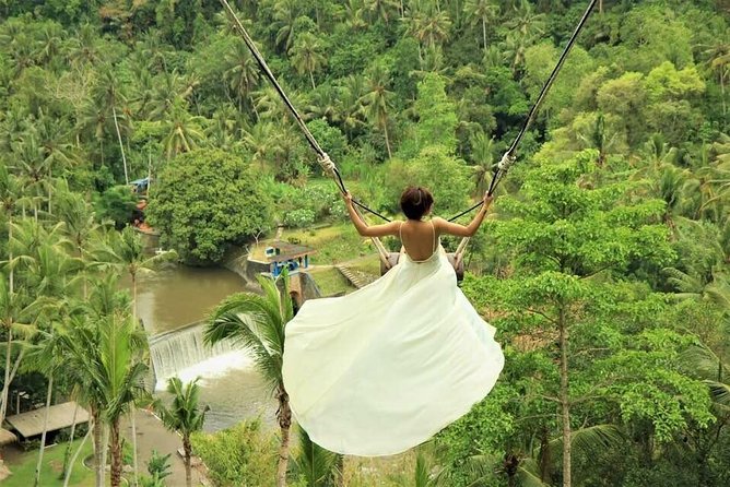 Ubud: Monkey Forest, Jungle Swing, Rice Terrace, and Water Temple - A one-day Ubud circuit that mixes culture and real scenery