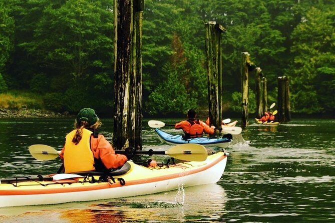 Ucluelet Harbour Tour - Exploring the Ucluelet Harbour Kayaking Tour: A Practical Review