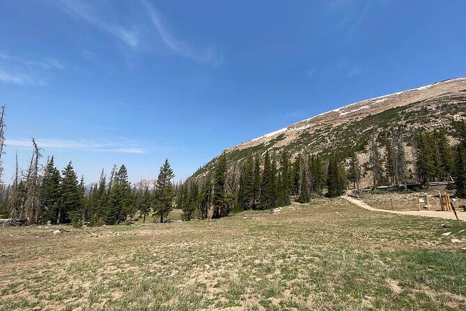 Uinta Mountains Birding and Nature Expedition - The Value of the Tour