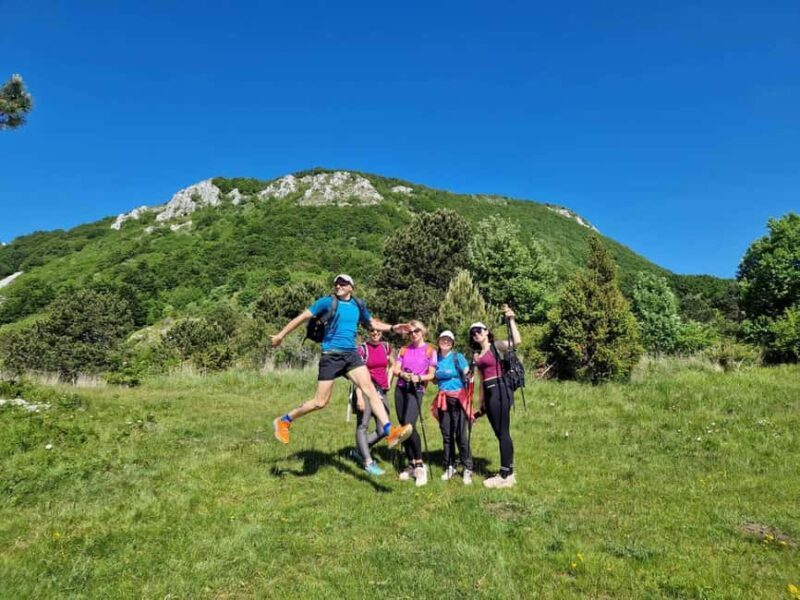 Uka Nature Park Private Hiking or Running Tour - An In-Depth Look at the Uka Nature Park Private Tour