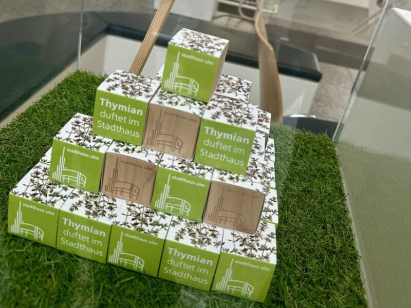 Ulm Card: 20+ attractions and optional public transportation - Key Points