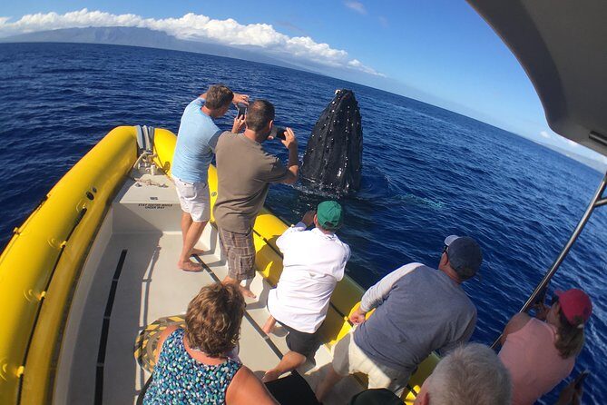 Ultimate 2 Hour Exclusive VIP Whale Watch Tour - Frequently Asked Questions