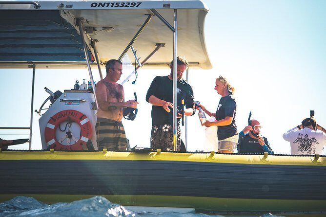 Ultimate 4 Hour Lanai Snorkel and Dolphin Encounter - FAQ