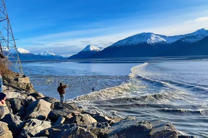 Ultimate Anchorage Summer Wildlife Tour - Who Should Consider This Tour?