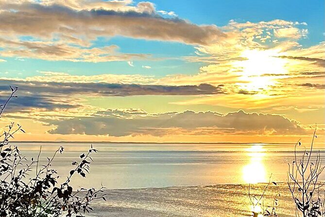 Ultimate Anchorage Winter Wildlife & Sunset Tour - The Experience: What It’s Like in Practice