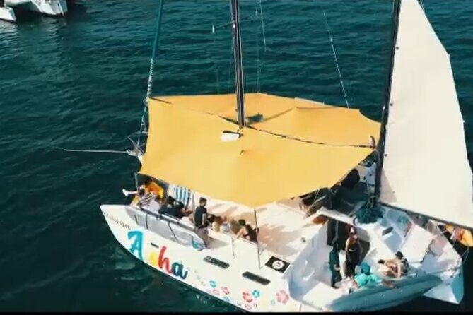 Ultimate Bay Tours -Private 25 Travelers- Trimaran Experience - What Past Travelers Say