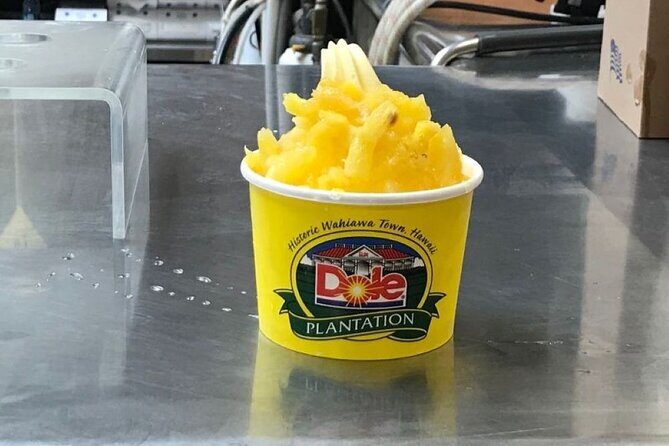 Ultimate Circle Island Experience: Beauty and the Feast - An In-Depth Look at the Tour