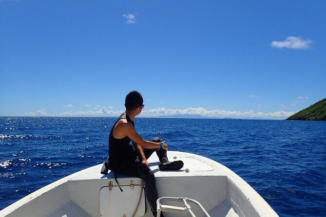 Ultimate Encounter Snorkel with Sharks in Fiji - Who Would Love This Tour?