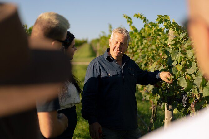 Ultimate Food and Wine Lovers Escape - Who Is This Tour Best Suited For?