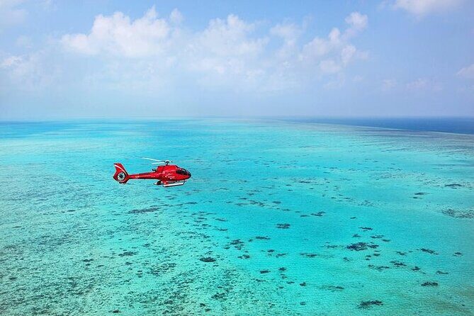 Ultimate Great Barrier Reef and Rainforest 45-minute Helicopter Tour - FAQs
