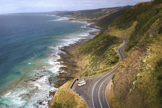 Ultimate Great Ocean Road Morning Escape Full Day Tour - Who Is This Tour Best Suited For?