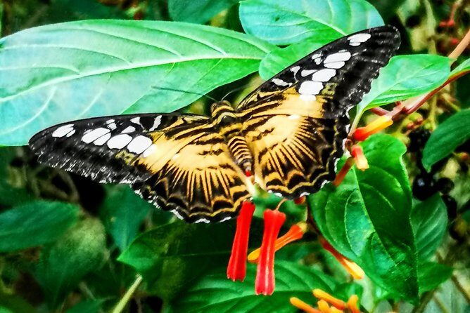 Ultimate Group Package Tour of Victoria - FAQs