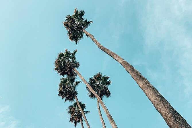 Ultimate Hollywood History Walking Tour in Los Angeles - See All Theaters - Authentic Feedback from Participants