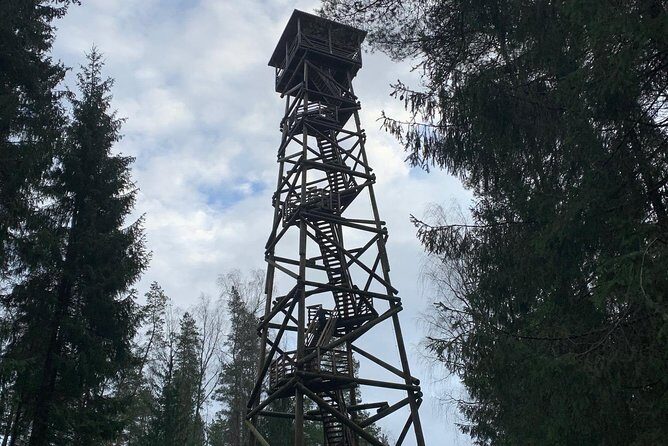 Ultimate Husky dog sledding experience in Latvia - Private tour from Riga - The Value of the Tour — Is It Worth It?