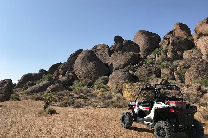 Ultimate Las Vegas RZR Adventure: Hidden Valley and Primm - What Travelers Are Saying