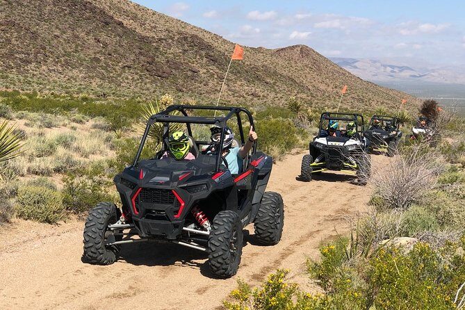 Ultimate Las Vegas RZR Adventure: Hidden Valley and Primm - Pricing and Value