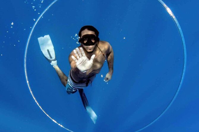 Ultimate Ocean Encounters Midday Snorkel - Considerations and Downsides