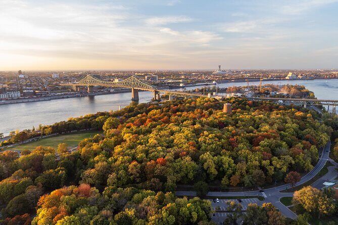 Ultimate Private Montréal City Tour: Culture, Views, Local Flavor - Key Points