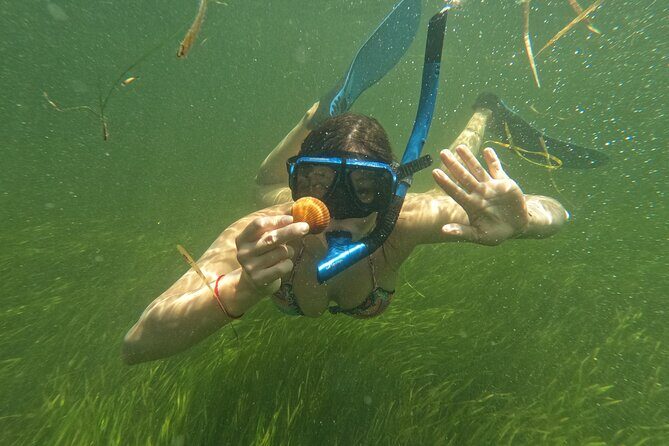 Ultimate Private Scalloping Adventure in Crystal River - Analyzing the Cost and Value