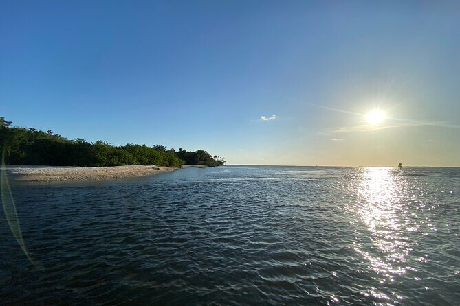 Ultimate Private Scalloping Adventure in Crystal River - Final Thoughts