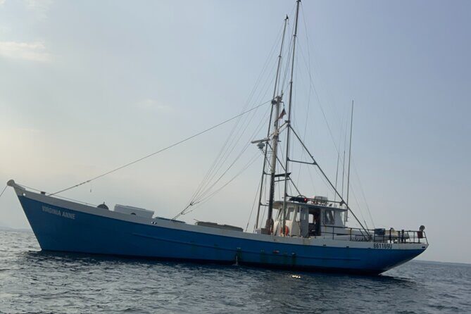 Ultimate Scavenger Bellingham - Is It Good Value?