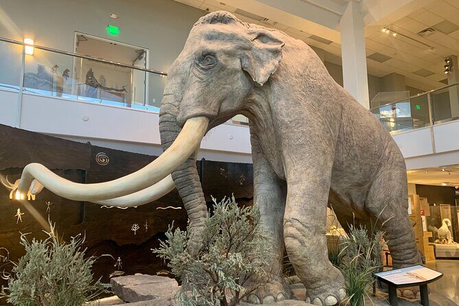 Ultimate Scavenger Idaho Falls - The Sum Up