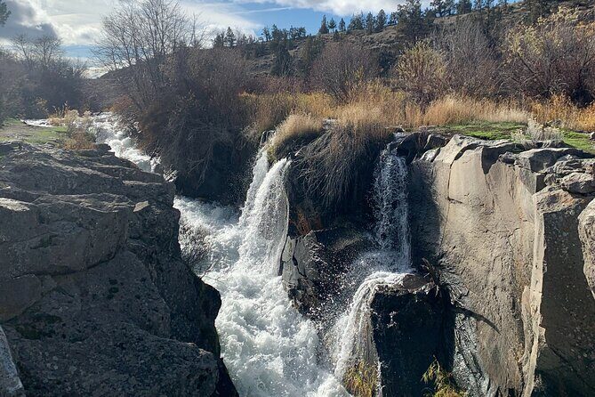 Ultimate Scavenger Redmond, Oregon - A Deep Dive into the Redmond Scavenger Experience