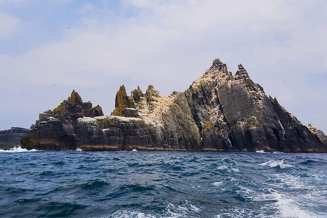 Ultimate Skellig Coast Tour with AquaTerra Boat Tours - FAQs