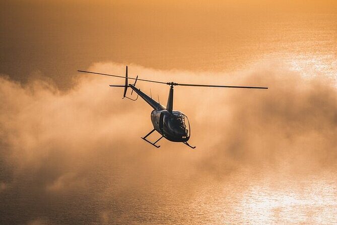 Ultimate Tour of Los Angeles by Helicopter - Who Should Consider This Tour?