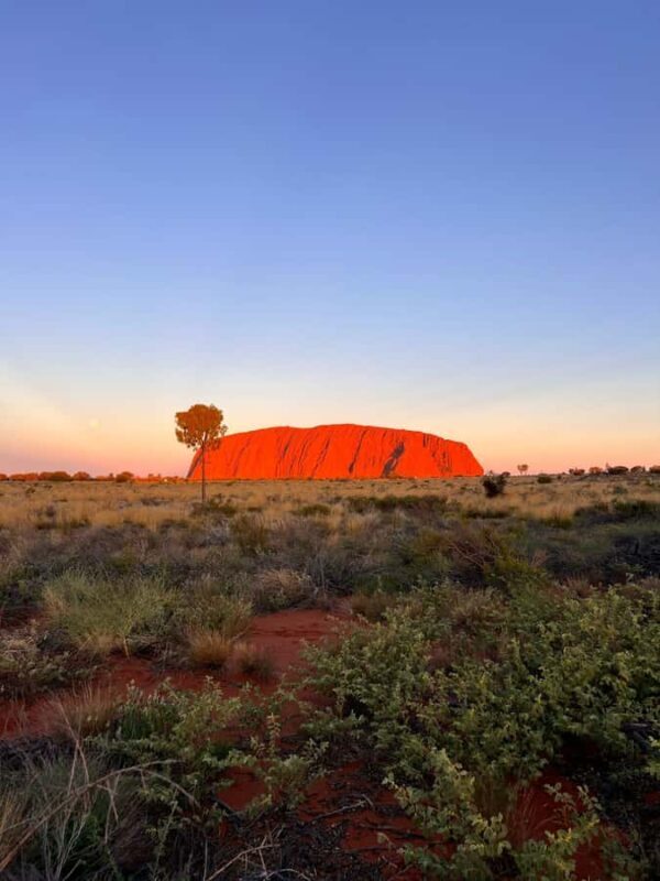 Uluru: 4-Day Rock to Rock Adventure Tour - An Honest Look at the 4-Day Outback Experience